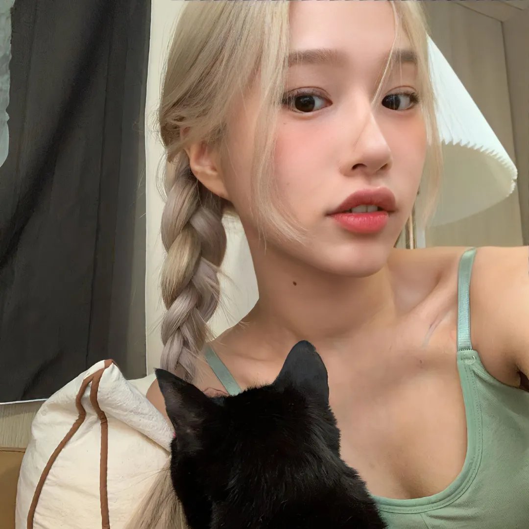 汪星人的奇思妙想
